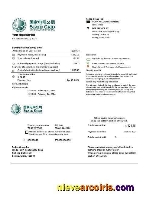 China State Grid Corporation of China electricity business utility bill